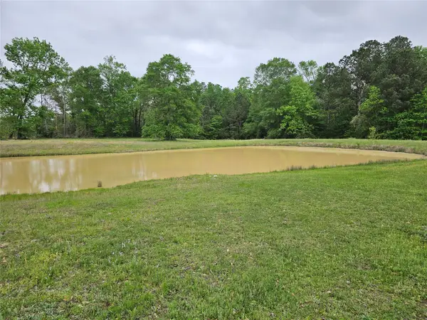 15784 Tree Monkey Rd, Conroe, TX 77303