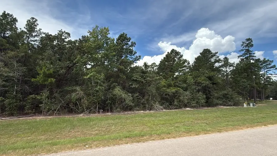7621 Trinity Pines Dr, Montgomery, TX 77316 - #3