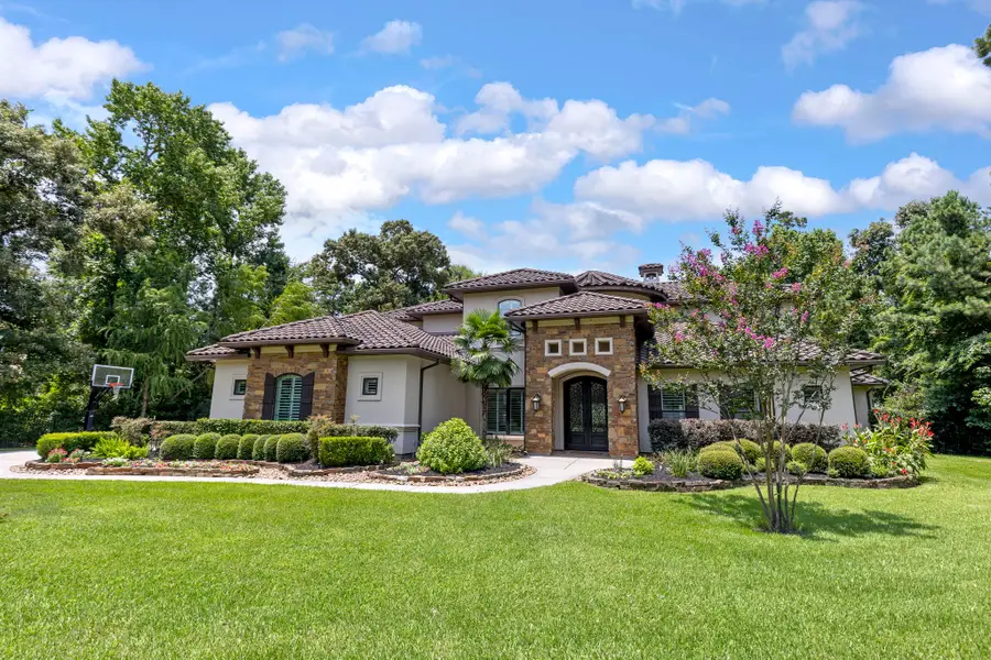 4223 Maple Rapids Lane, Spring, TX 77386 - #2