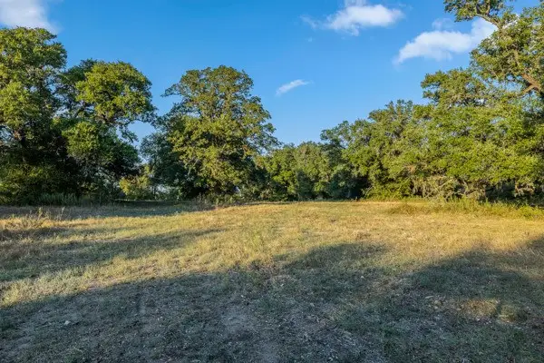 110 Drake Lane - Lot 25, Round Top, TX 78954 - #2