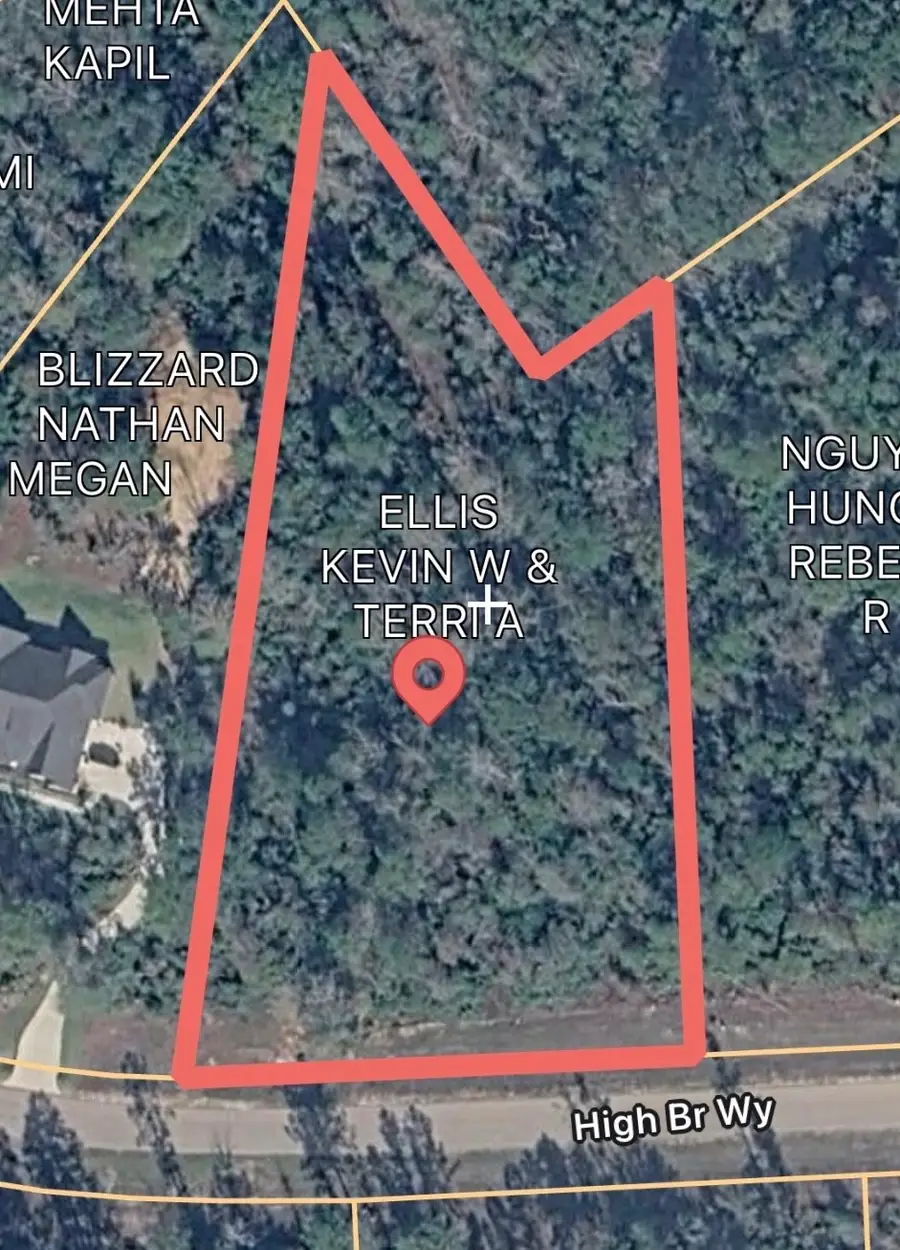 12075 High Branch Way, Willis, TX 77378 - #2