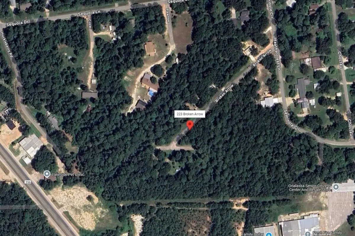 223 Broken Arrow, Onalaska, TX 77360 - #1