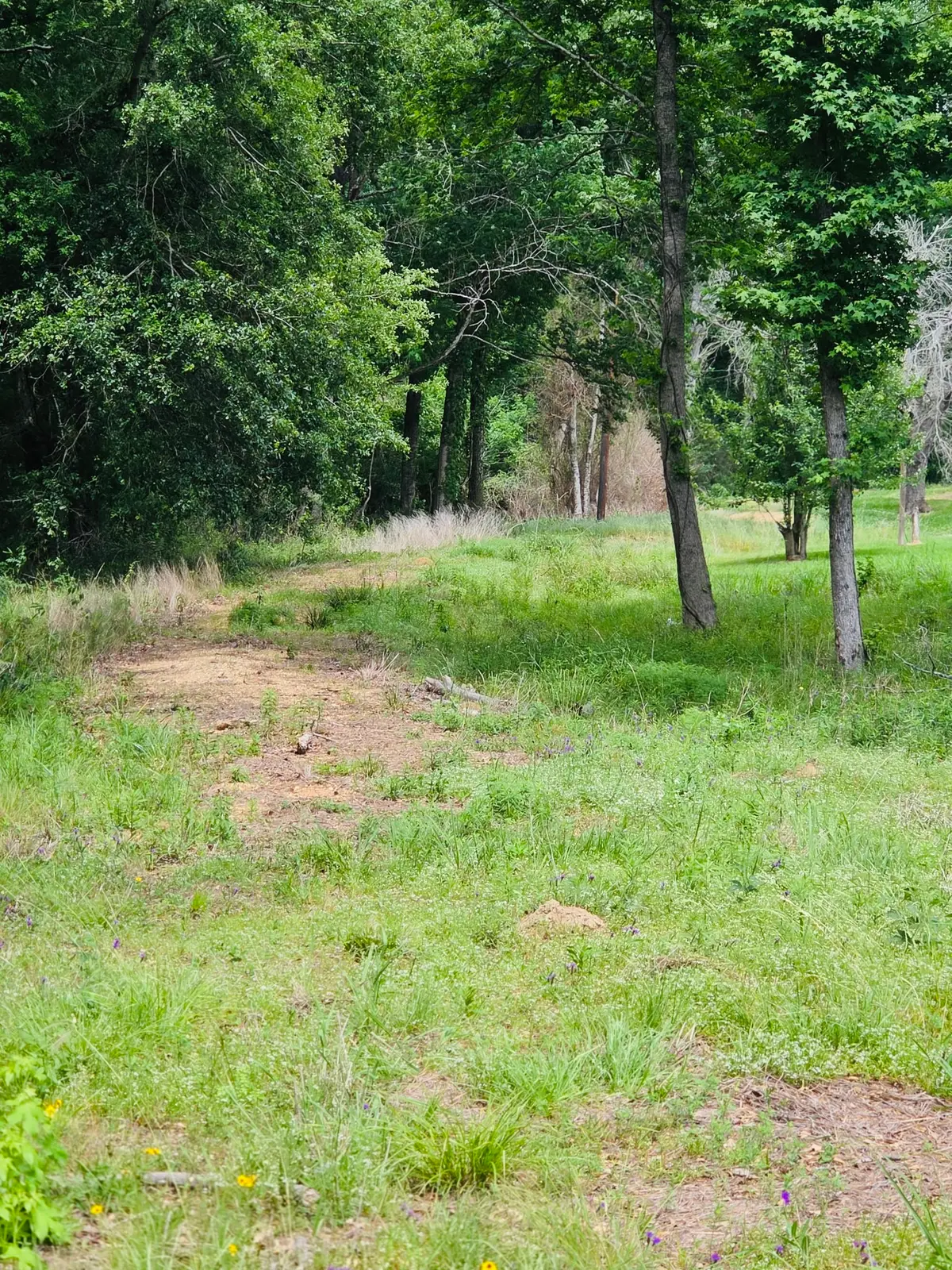 59 N Hwy 59, Livingston, TX 77351 - #1