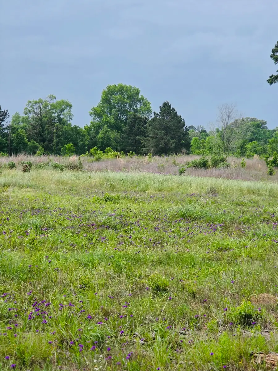 59 N Hwy 59, Livingston, TX 77351 - #2