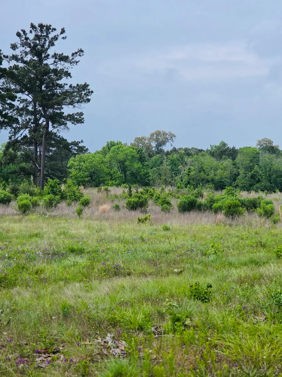 59 N Hwy 59, Livingston, TX 77351 - #3