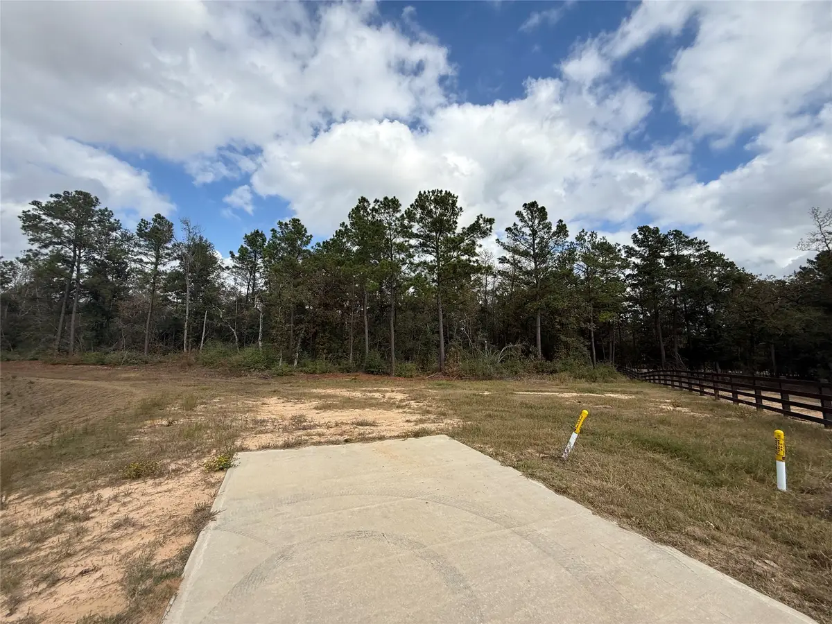 23705 Birch Grove Road, Montgomery, TX 77316 - Image #1