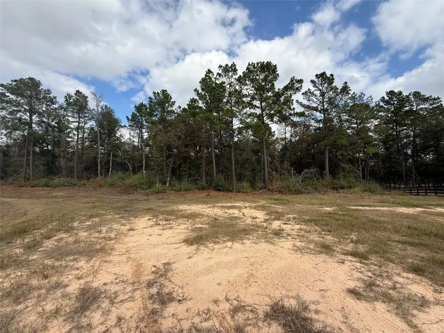 23705 Birch Grove Road, Montgomery, TX 77316 - Image #2