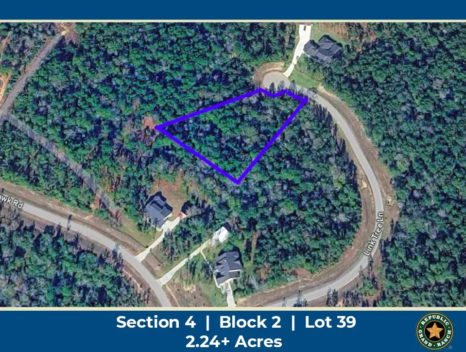 10545 Link Tree Lane, Willis, TX 77378 - #1