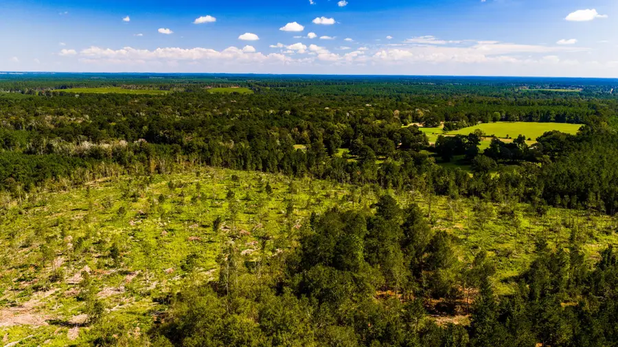 009 Buddy Lloyd Rd, Livingston, TX 77351 - #3