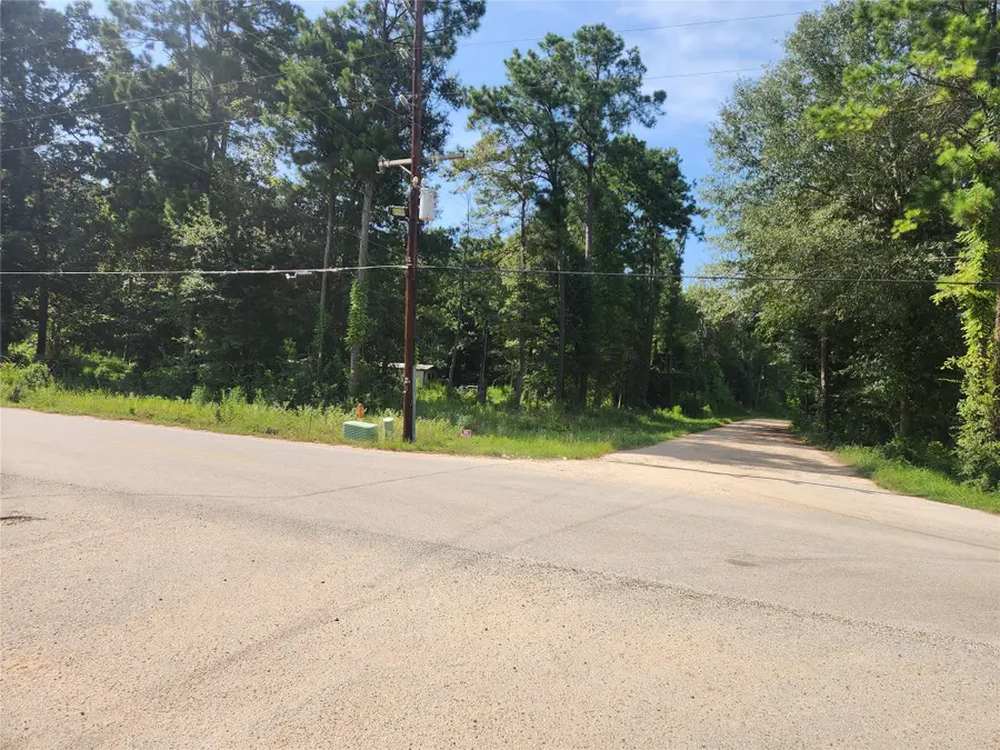 19094 Norfolk, New Caney, TX 77357 - #2