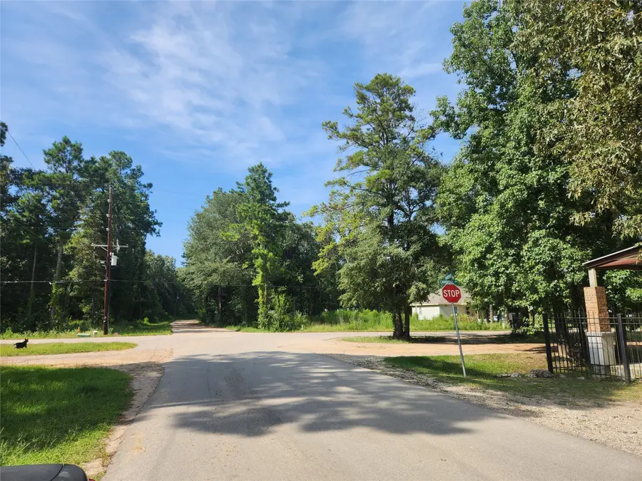 19094 Norfolk, New Caney, TX 77357 - #3