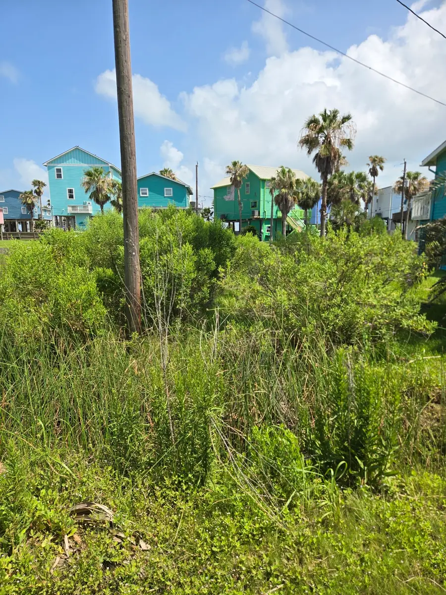 11217 Reagor Way, Galveston, TX 77554 - #2
