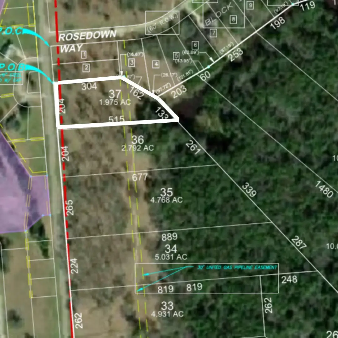 Lot 37 Lake Livingston Lane, Trinity, TX 75862 - Image #1