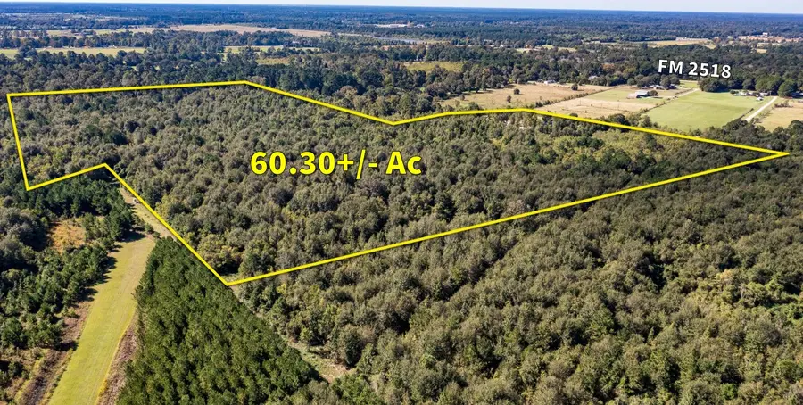 1516 Fm 2518 Road, Cleveland, TX 77327 - #2