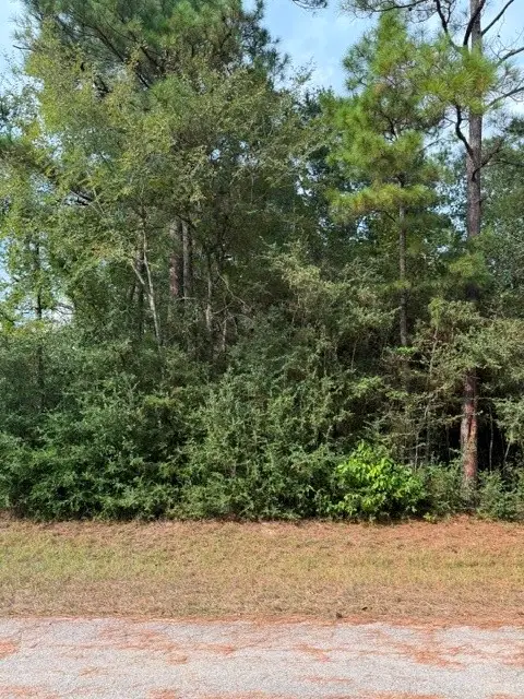 00 Tdb Little John Circle, Hockley, TX 77447 - #1