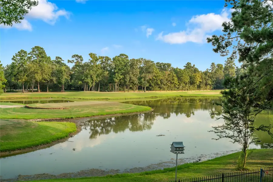 47 Summerwalk Place, The Woodlands, TX 77381 - #3