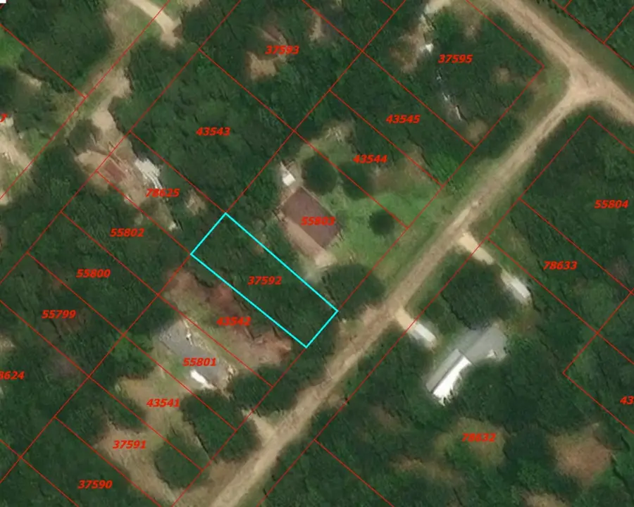 0 Rosemary Lane, Livingston, TX 77351 - Image #3