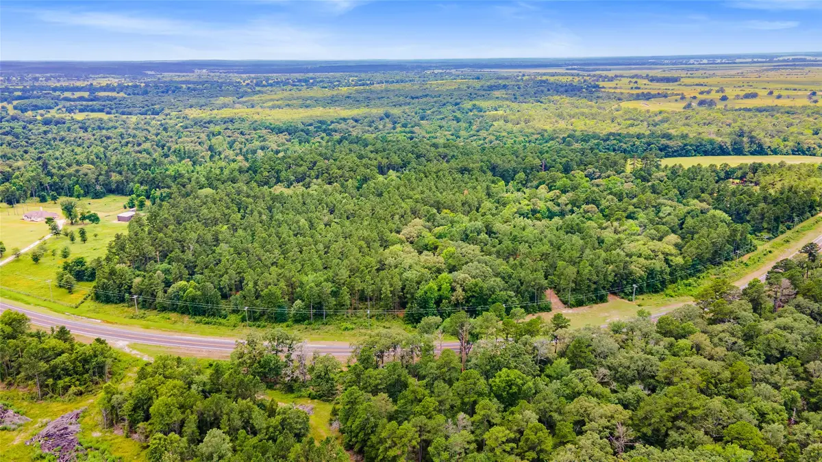 00 Fm 230, Trinity, TX 75862 - #1