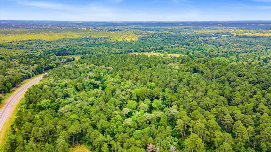 00 Fm 230, Trinity, TX 75862 - #3