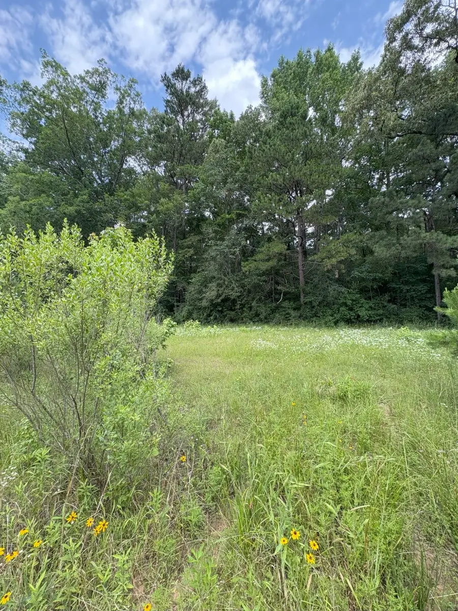 TBD County Road 425, Tenaha, TX 75974 - Image #2