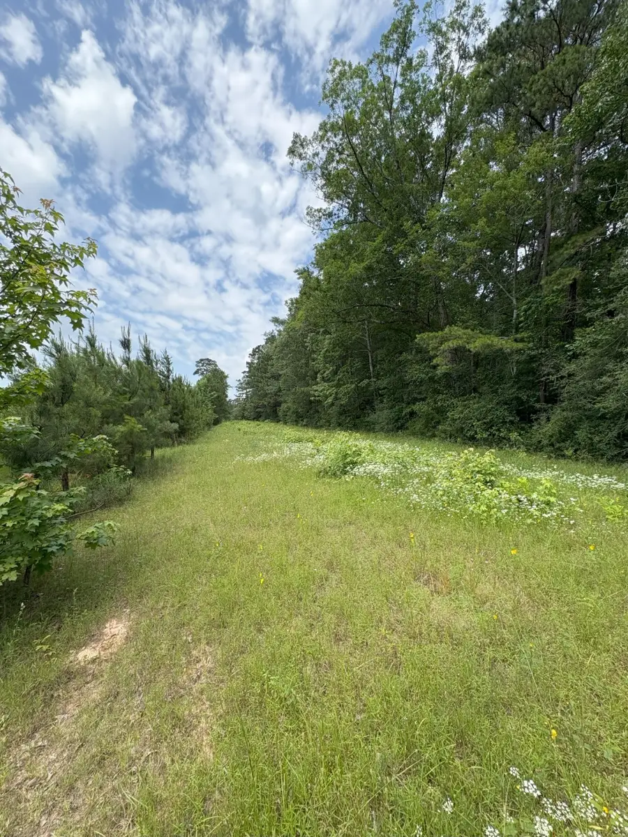 TBD County Road 425, Tenaha, TX 75974 - Image #3