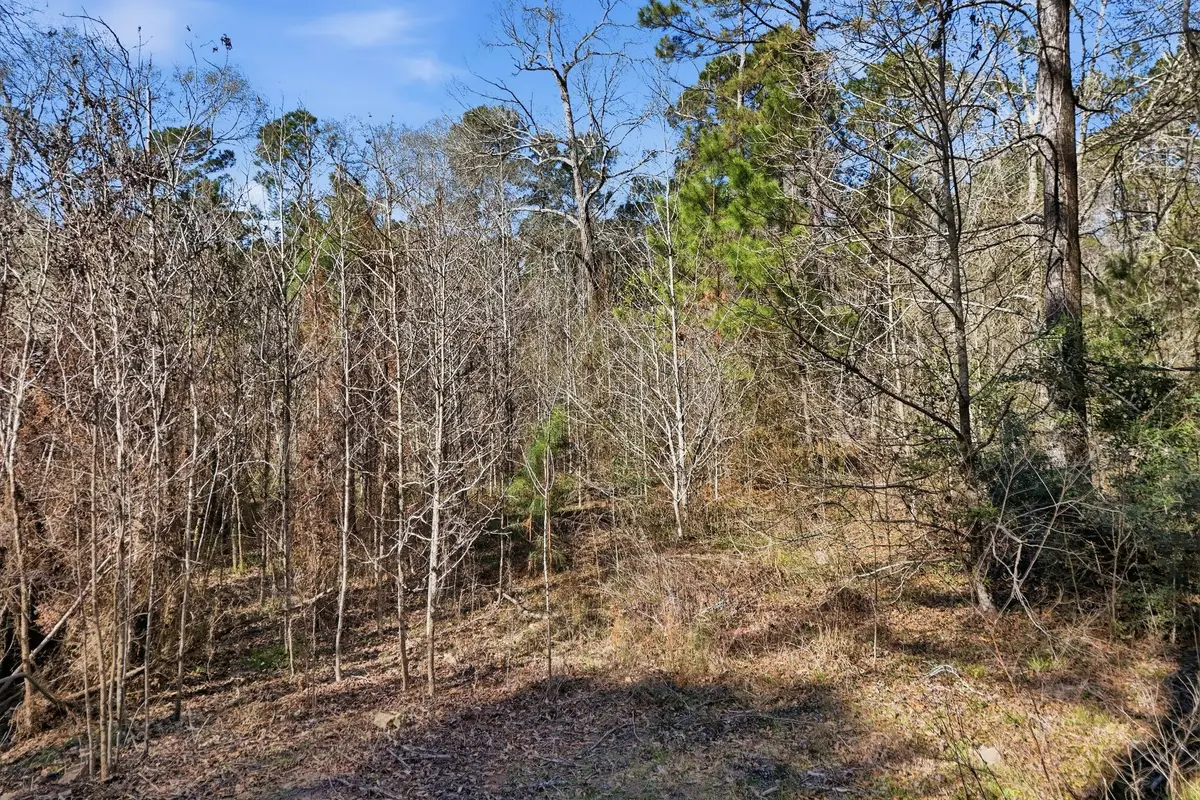 530 Smith Lane, Cleveland, TX 77328 - #1