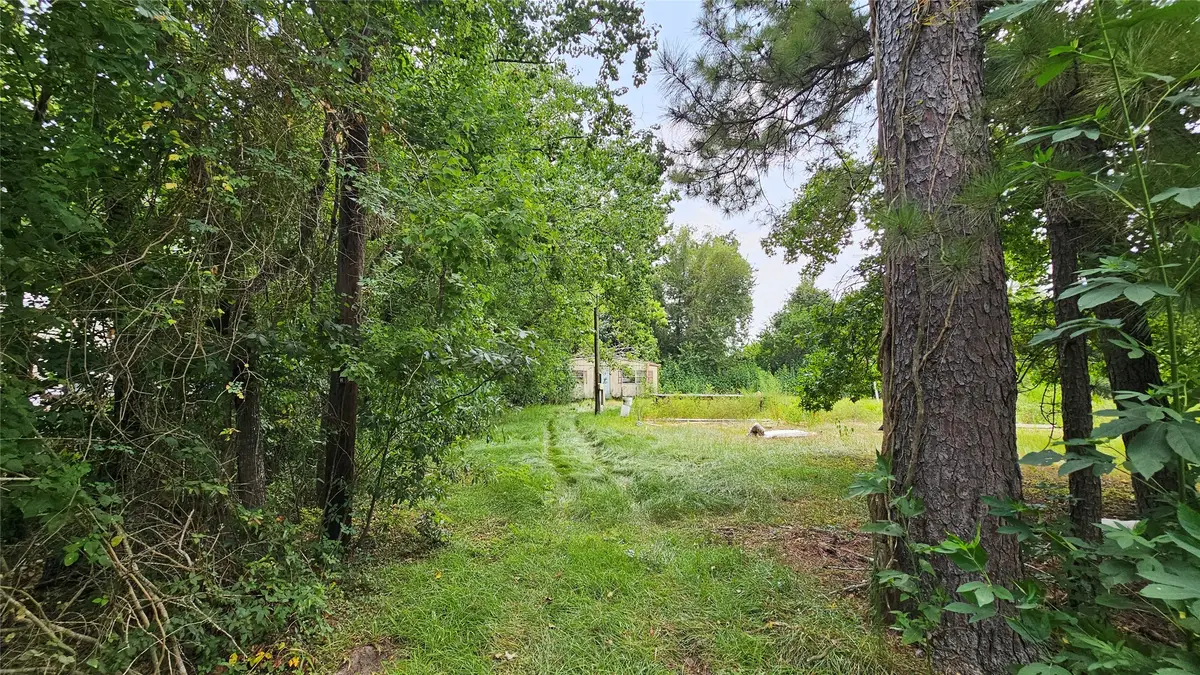 23891 Stanart Road, Porter, TX 77365 - #1