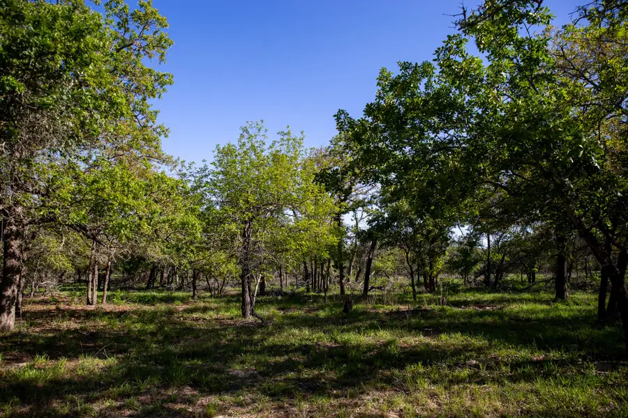 Lot 5 Shorthorn Road, Stockdale, TX 78160 - #2