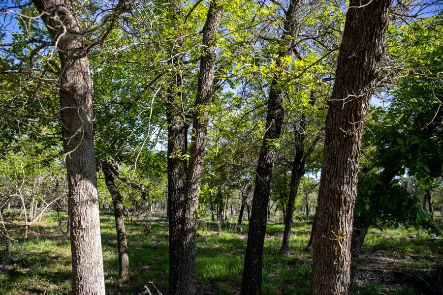 Lot 5 Shorthorn Road, Stockdale, TX 78160 - #3