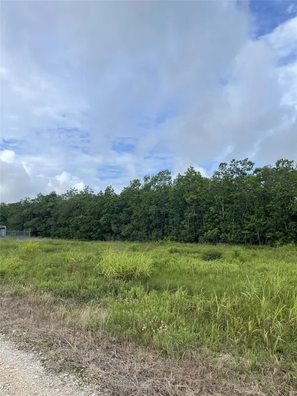 3021 County Road 62 Off, Iowa Colony, TX 77583