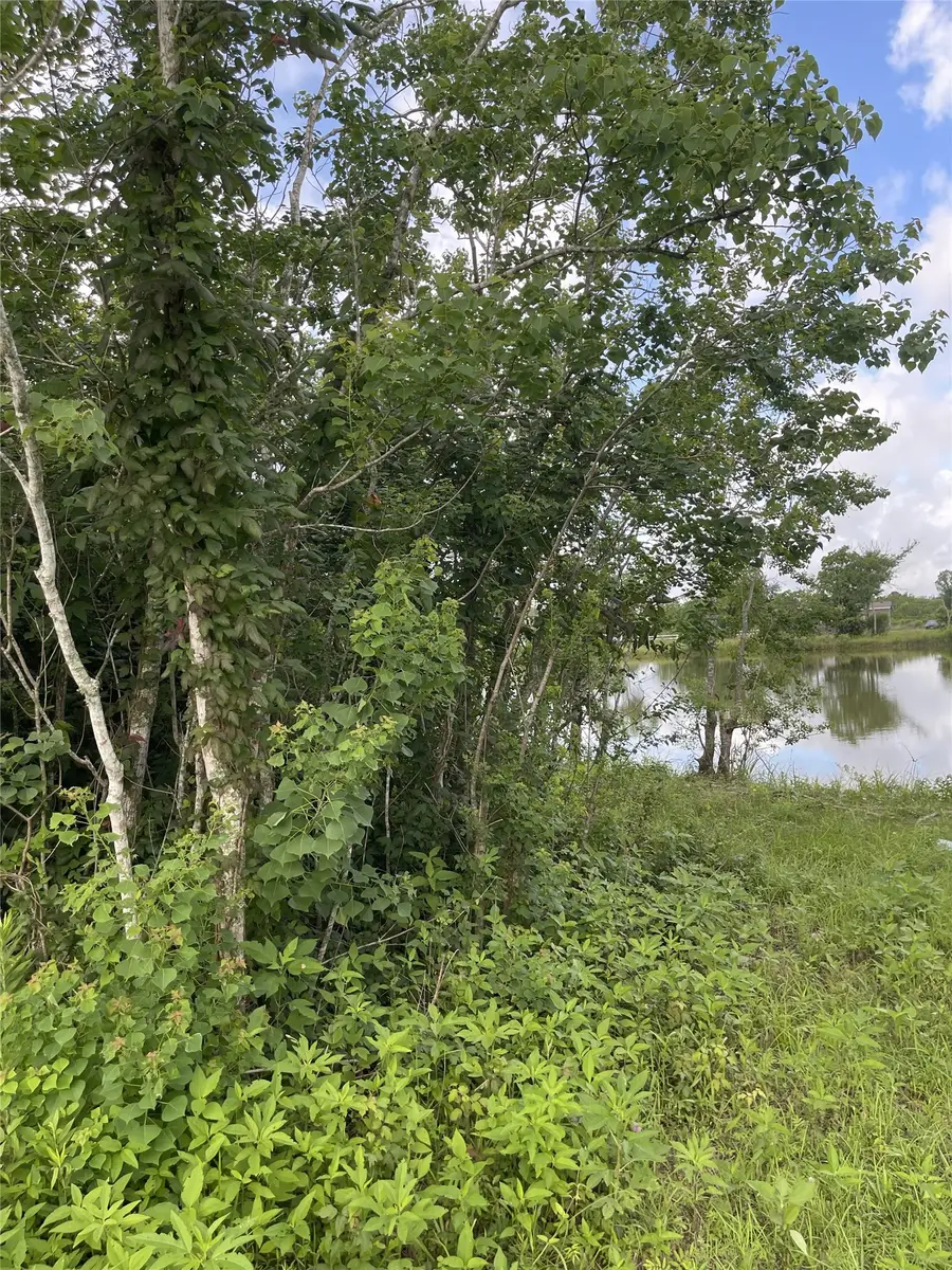 3021 County Road 62 Off, Iowa Colony, TX 77583 - #3