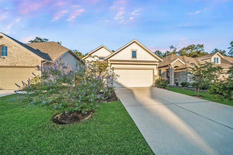 17435 Vino Vines Lane, Conroe, TX 77302 - #2
