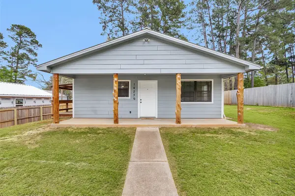 14236 E Ravine Run, Willis, TX 77318