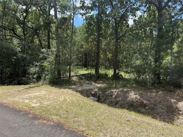 24805 Nottingham Circle, Hockley, TX 77447