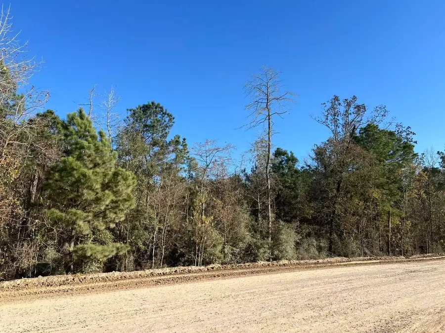 000 West Village Way, Conroe, TX 77302 - Image #3