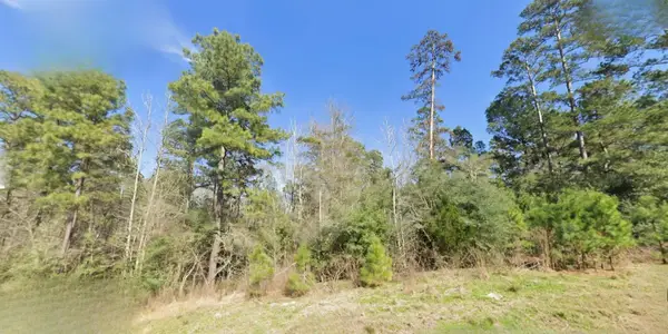 7-23-83 Sky Oak Lane, Huntsville, TX 77340