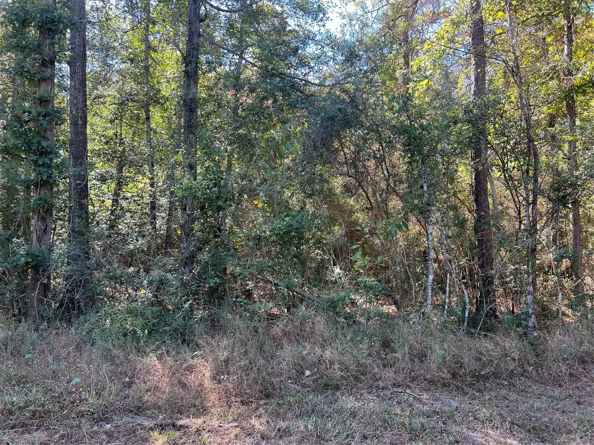 162 Meadow Lane, Livingston, TX 77351 - Image #1