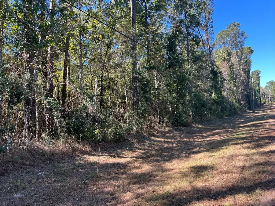 162 Meadow Lane, Livingston, TX 77351 - Image #2