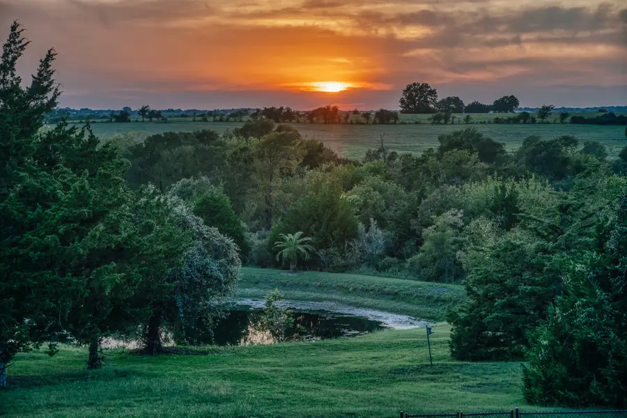 15484 Borgstedte Road, Washington, TX 77880 - #3