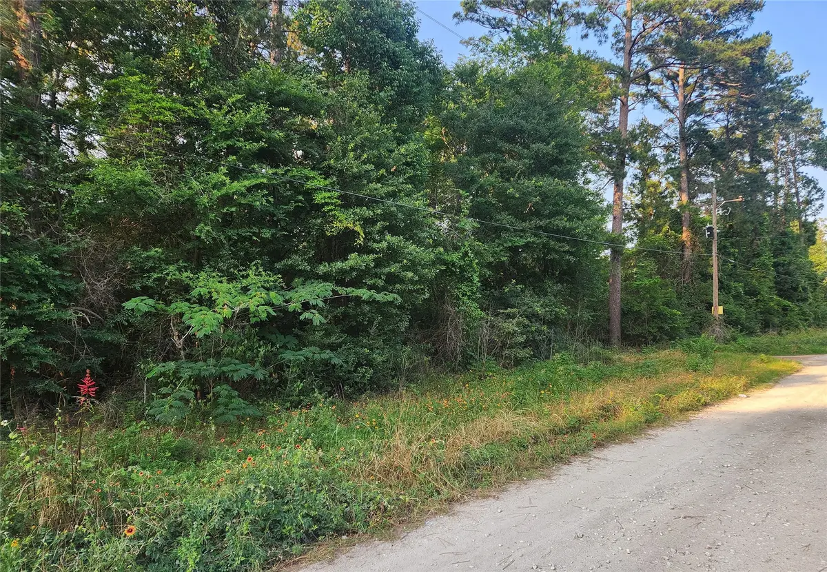 Lot 15 Weeping Willow Lane, Plantersville, TX 77363 - Image #1