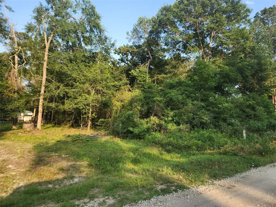 Lot 15 Weeping Willow Lane, Plantersville, TX 77363 - Image #2