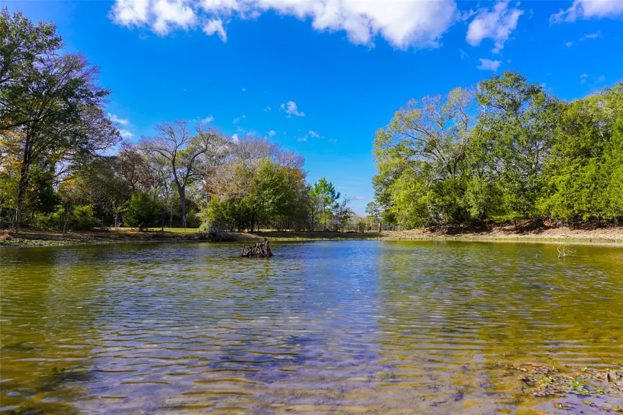 31174 Courtney Rd, Navasota, TX 77868 - #2