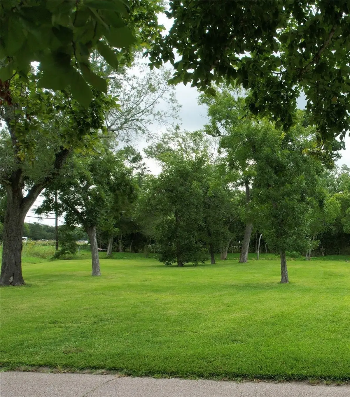 001 Willowgrove Drive, Houston, TX 77035 - Image #1