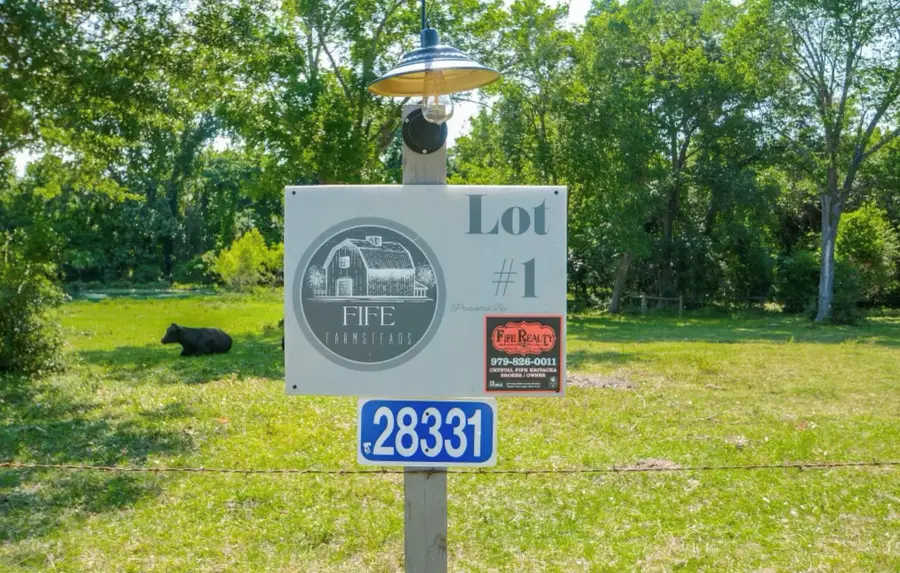 28331 Clarke Bottom Road, Hempstead, TX 77445 - #3