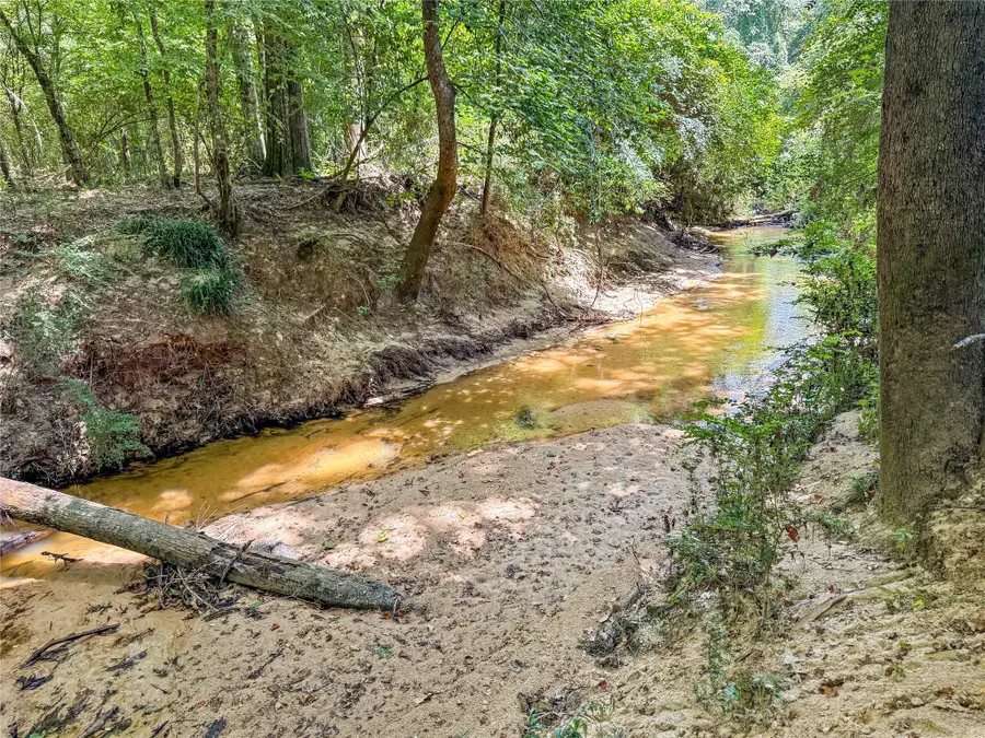 TBD Hwy 69 N, Woodville, TX 75979 - #2