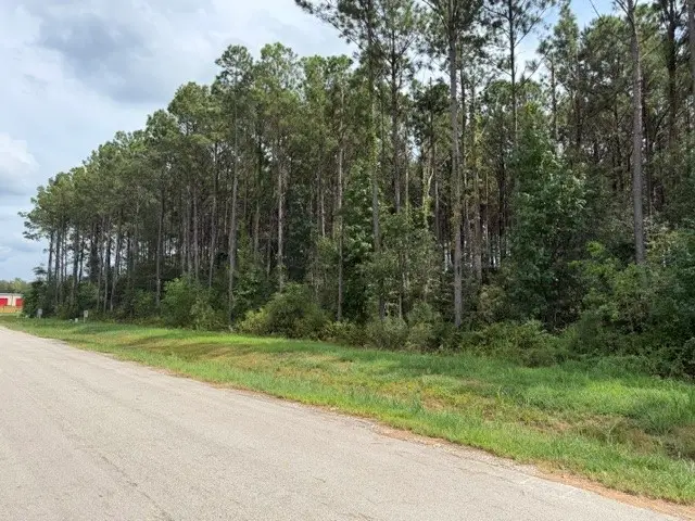 1558 Road 66114, Dayton, TX 77535 - #1