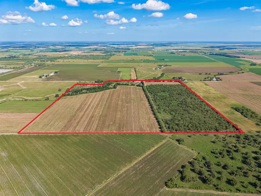 10542 Walker Road, Beasley, TX 77417 - #3