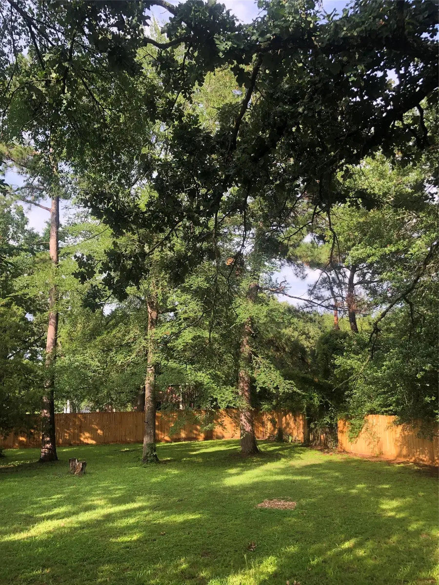 27016 Pecos Ranch, Magnolia, TX 77355 - #2