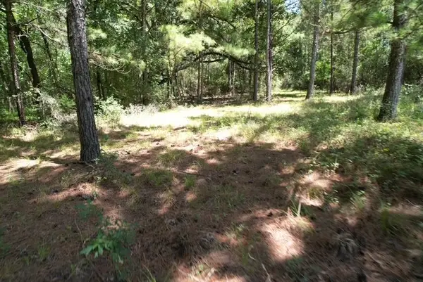 0000 Jones Road, New Waverly, TX 77358