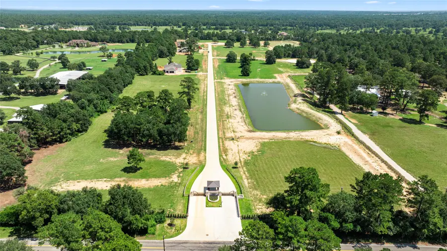 208 Rolling Oaks Drive, Hockley, TX 77447 - Image #2